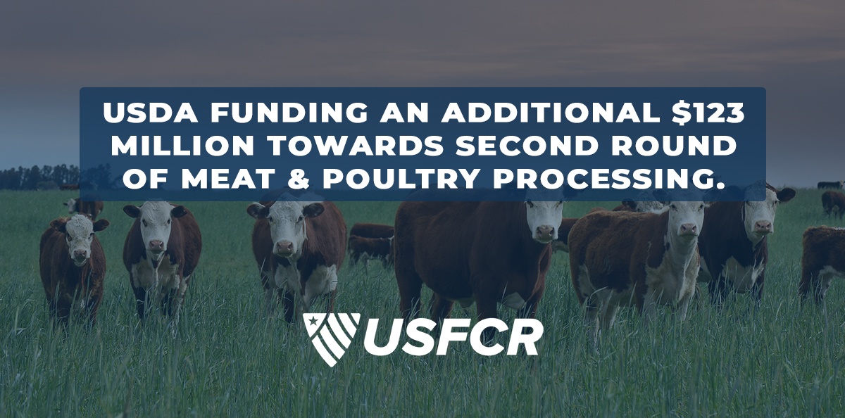 Discover the Latest Hot Federal Grants with USFCR